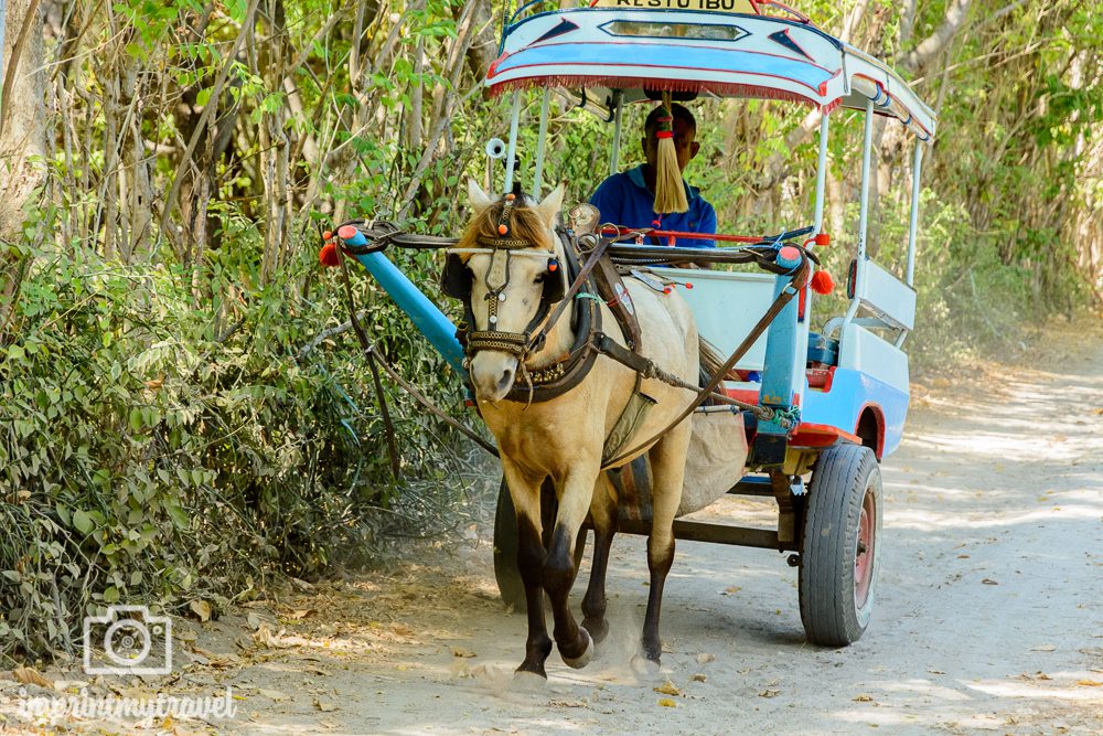 Gili Meno Pferdekutsche