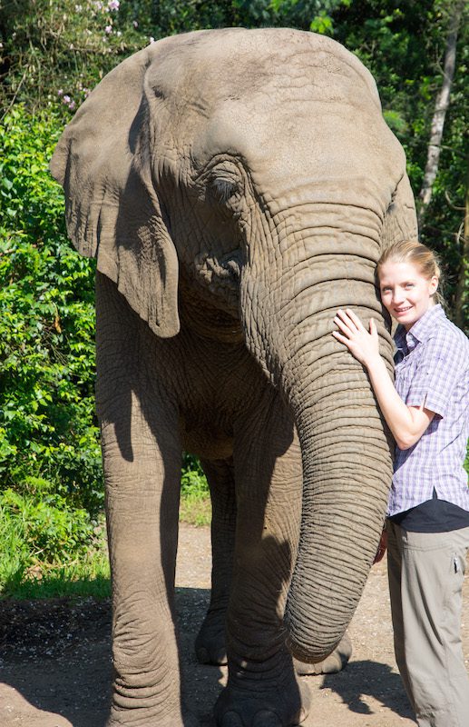 Elephant Sanctuary Plettenberg Bay