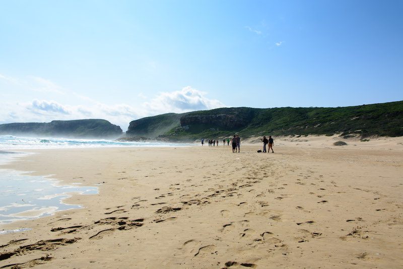 Robberg Island