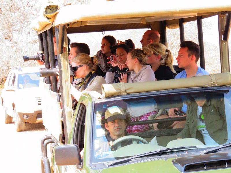 Krüger Nationalpark: offener Safariwagen