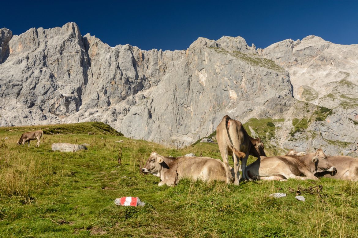 wandern schladming dachstein titel