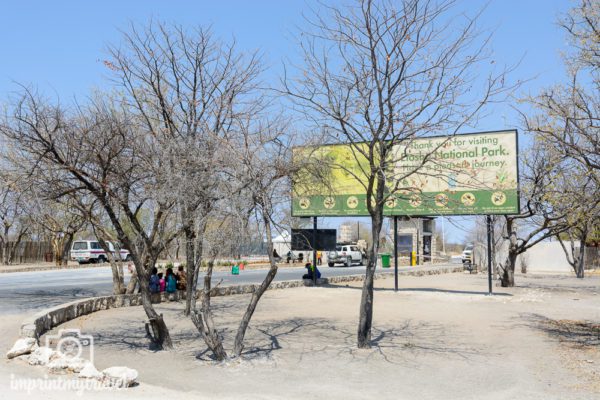 Safari in Namibia: Der Etosha Nationalpark | Reiseblog und ...