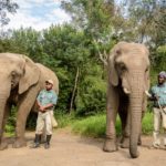 tierschutz auf reisen elefanten