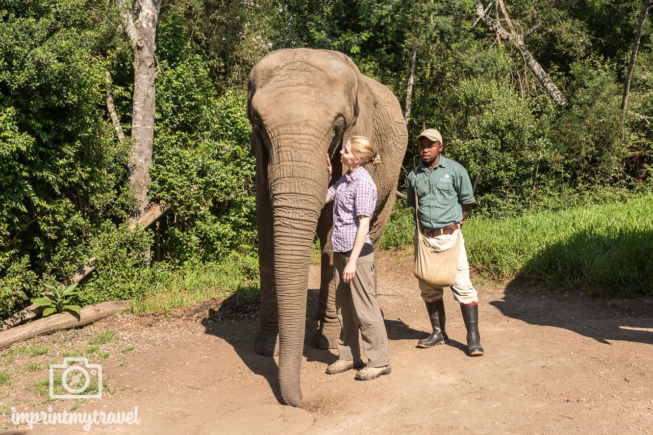 tierschutz auf reisen elephant encounter