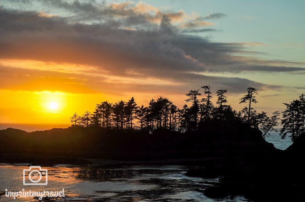 USA & Kanada Roadtrip Vancouver Island