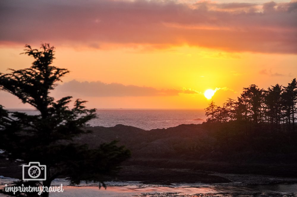 USA & Kanada Roadtrip Vancouver Island