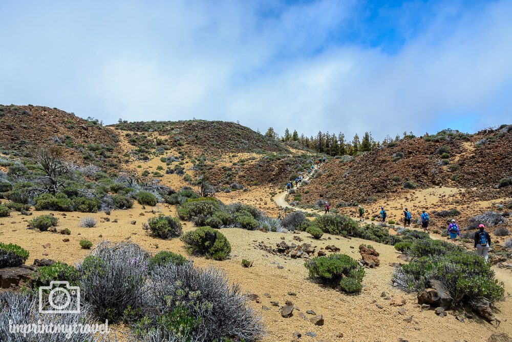 Wandern auf Teneriffa Teide Nationalpark