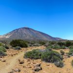 Wandern auf Teneriffa Titelbild