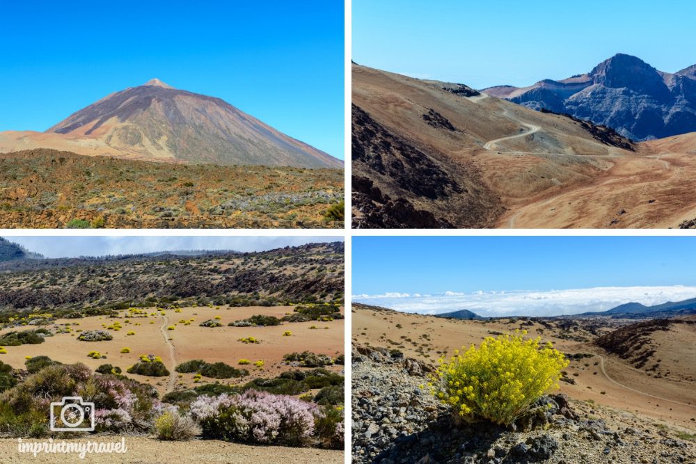 wandern teneriffa teide nationalpark