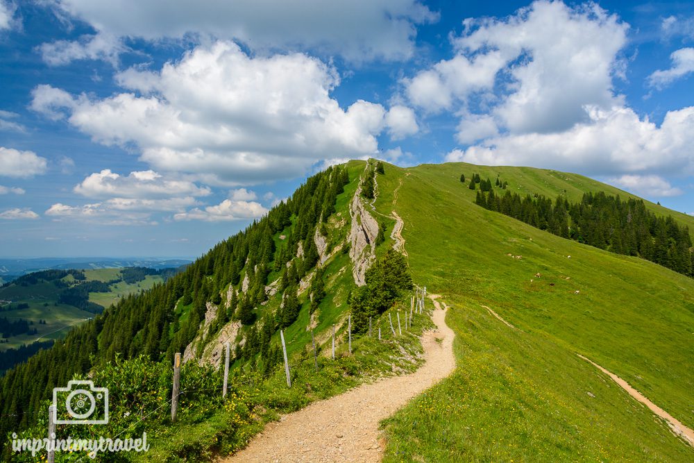 Panorama Wandern Hochgrat