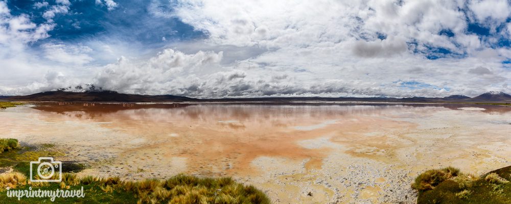 Bolivien Sehenswürdigkeiten Laguna Colorada