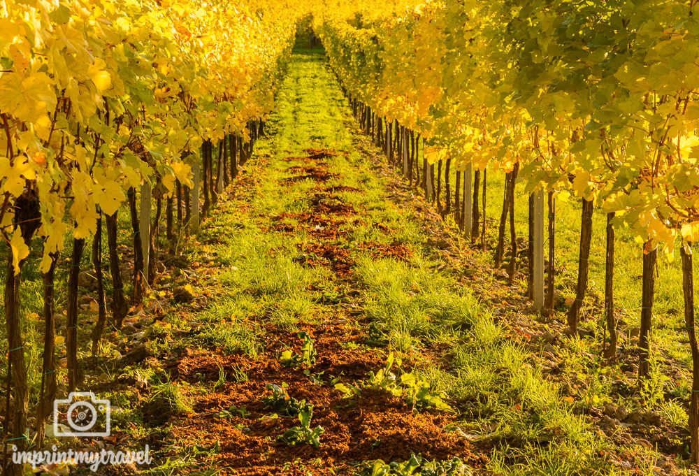 Landschaftsfotografie Tipps | Reiseblog & Fotografieblog Aus Österreich