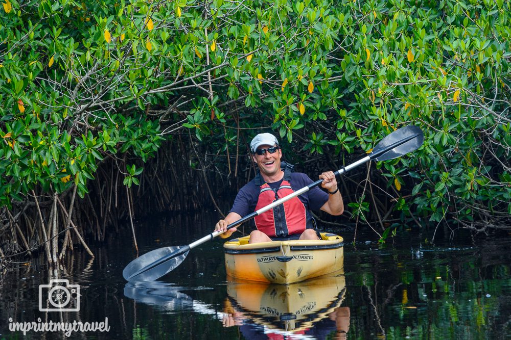 Kayak Tour im Big Cypress National Preserve