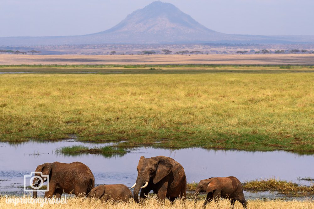 Tarangire Nationalpark Tansania Landschaft