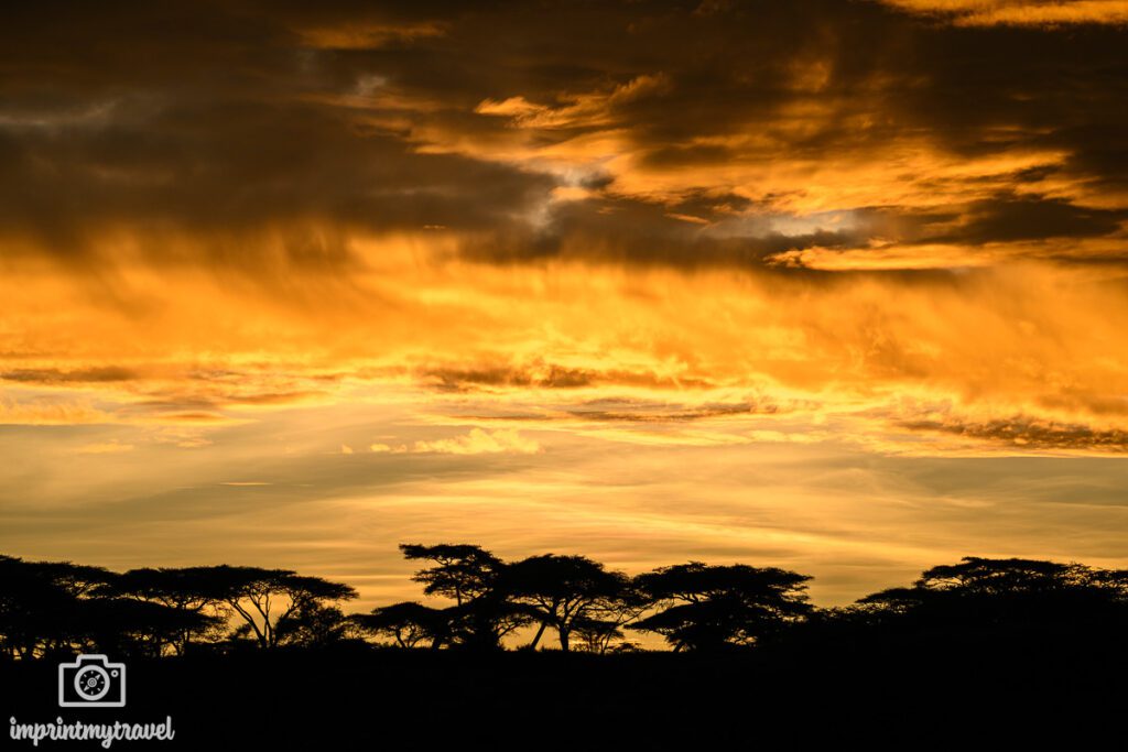 tansania nationalparks ndutu