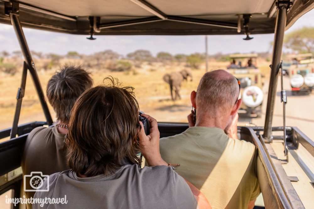 Fotografieren auf Safari in Tansania