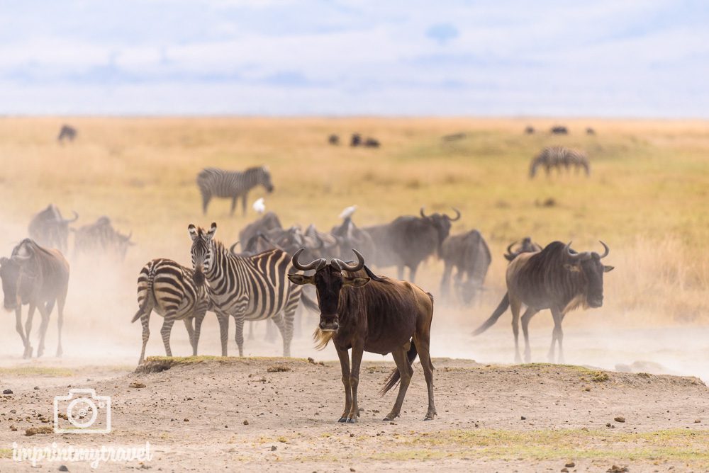 Die schönsten Plätze der Welt Ngorongoro Krater