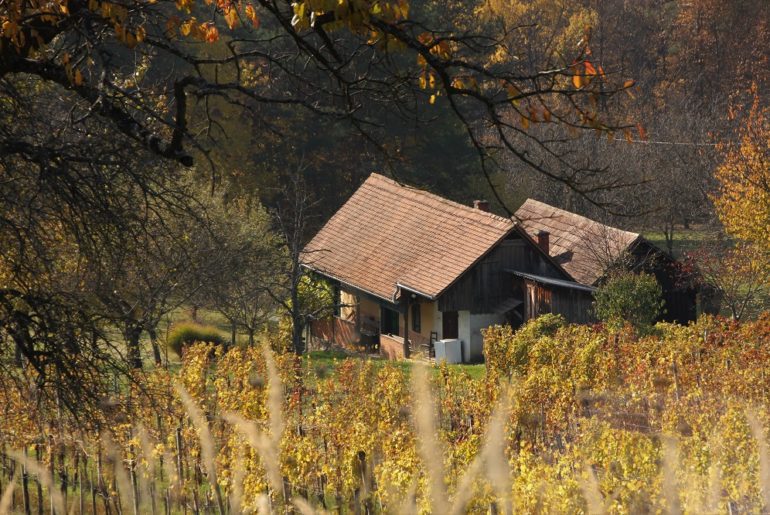 Urlaub in Österreich Südburgenland Csaterberg