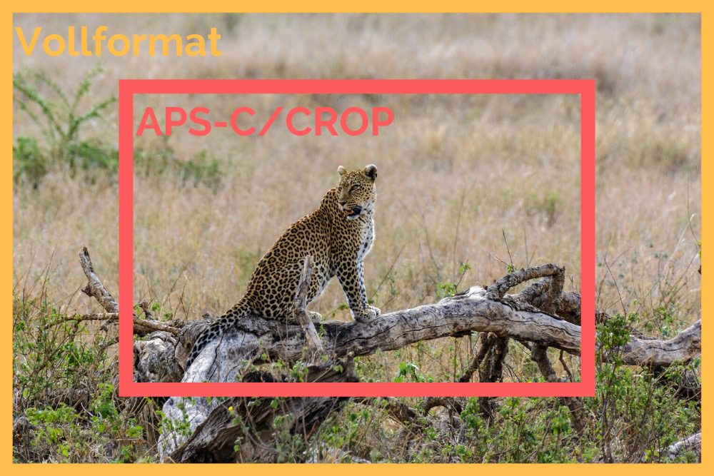 Crop Faktor als Brennweiten Verlängerung auf Safari