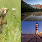 Fotoparade 2020 Titel