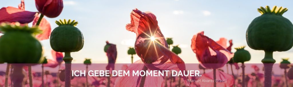 online fotokurs footer