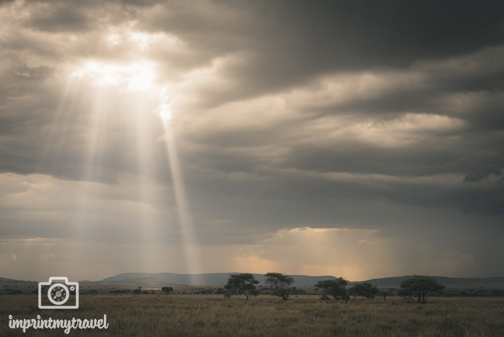 Fotoreise Tansania 2021 Serengeti