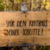 wanderungen in niederösterreich titelbild