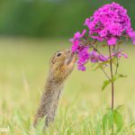 ziesel workshop 2022