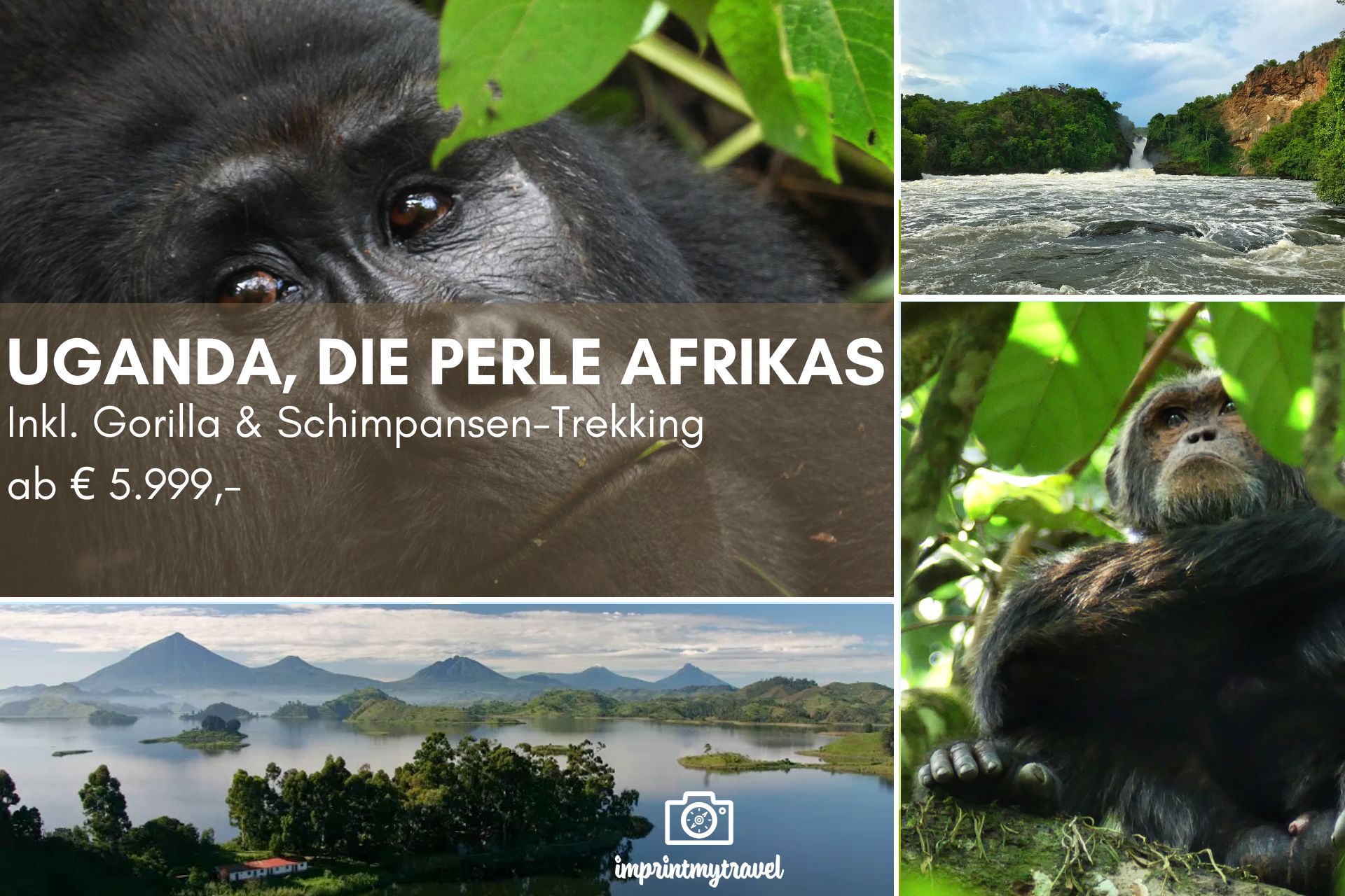 fotoreise uganda titel