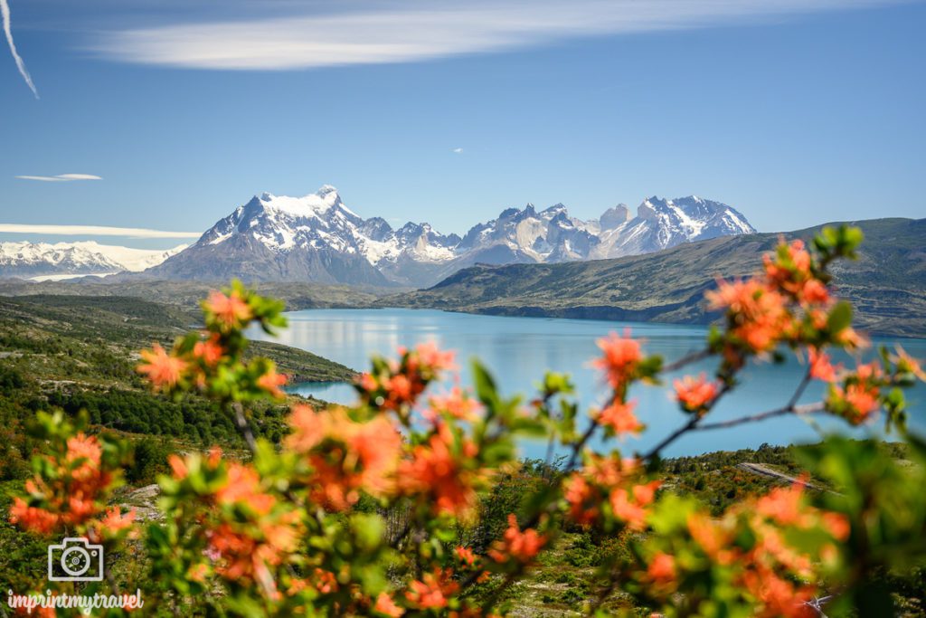 Fotoparade 2022 Torres del Paine