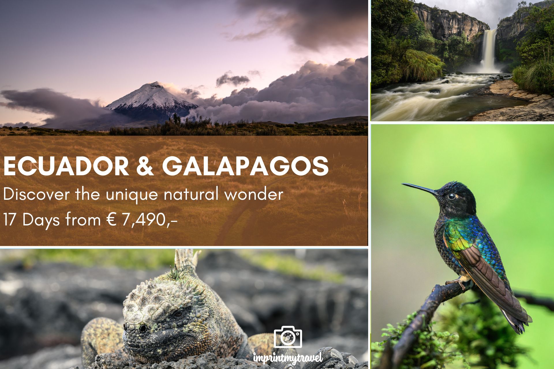 phototour ecuador & galapagos 2027 en