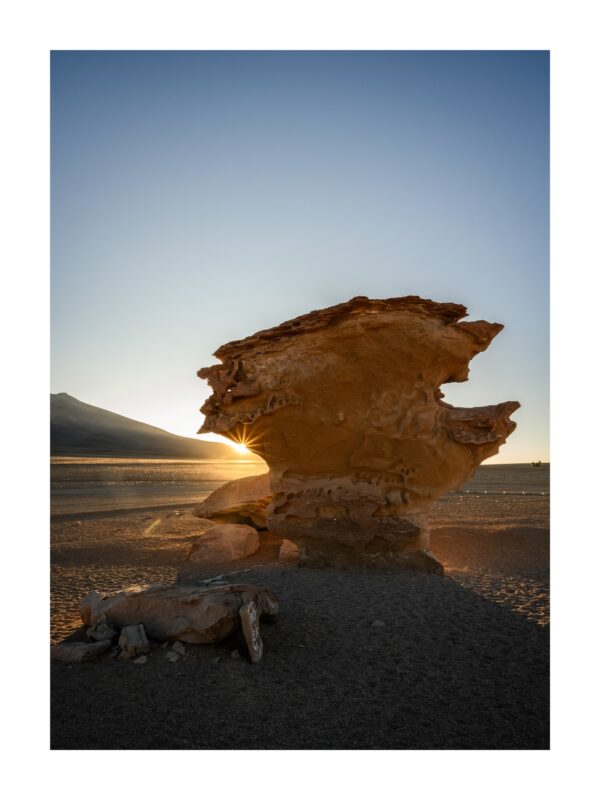 Fine Art print "Stone Tree“