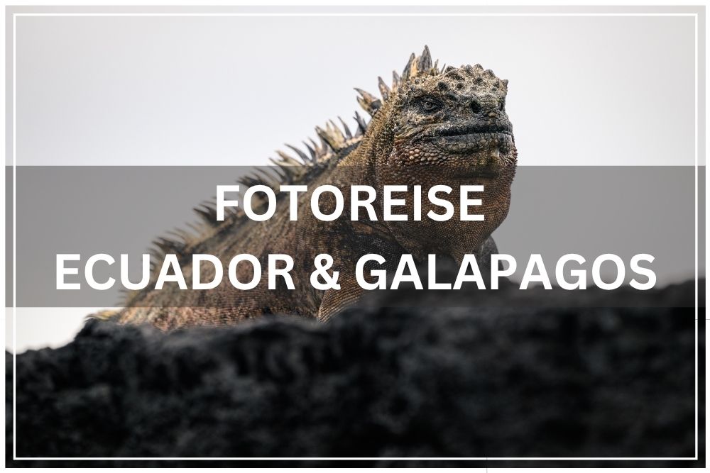 fotoreise ecuador galapagos 2027