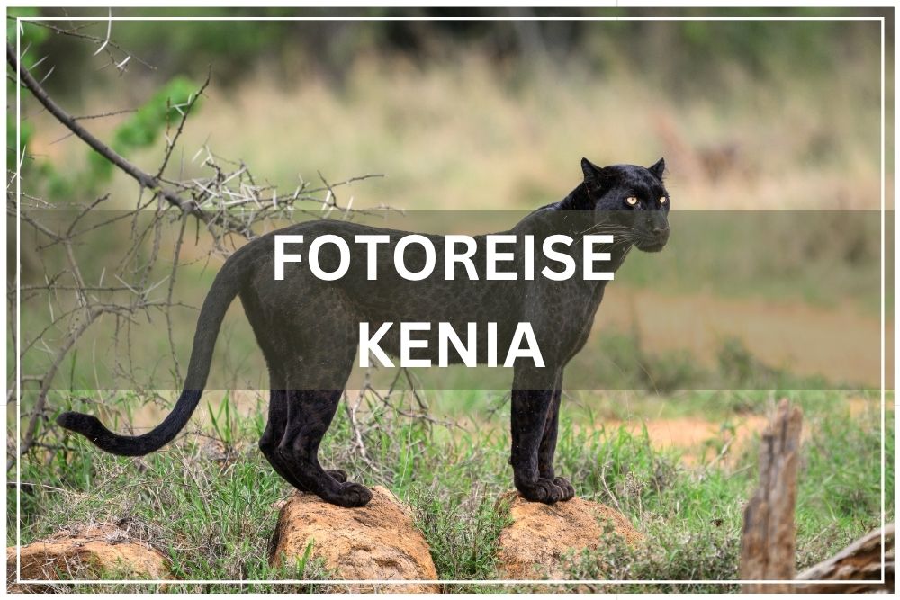 fotoreise kenia 2027