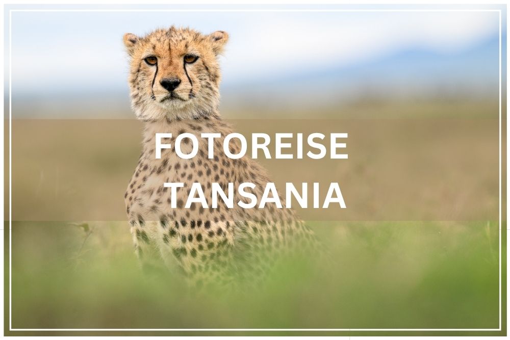 fotoreise tansania 2027
